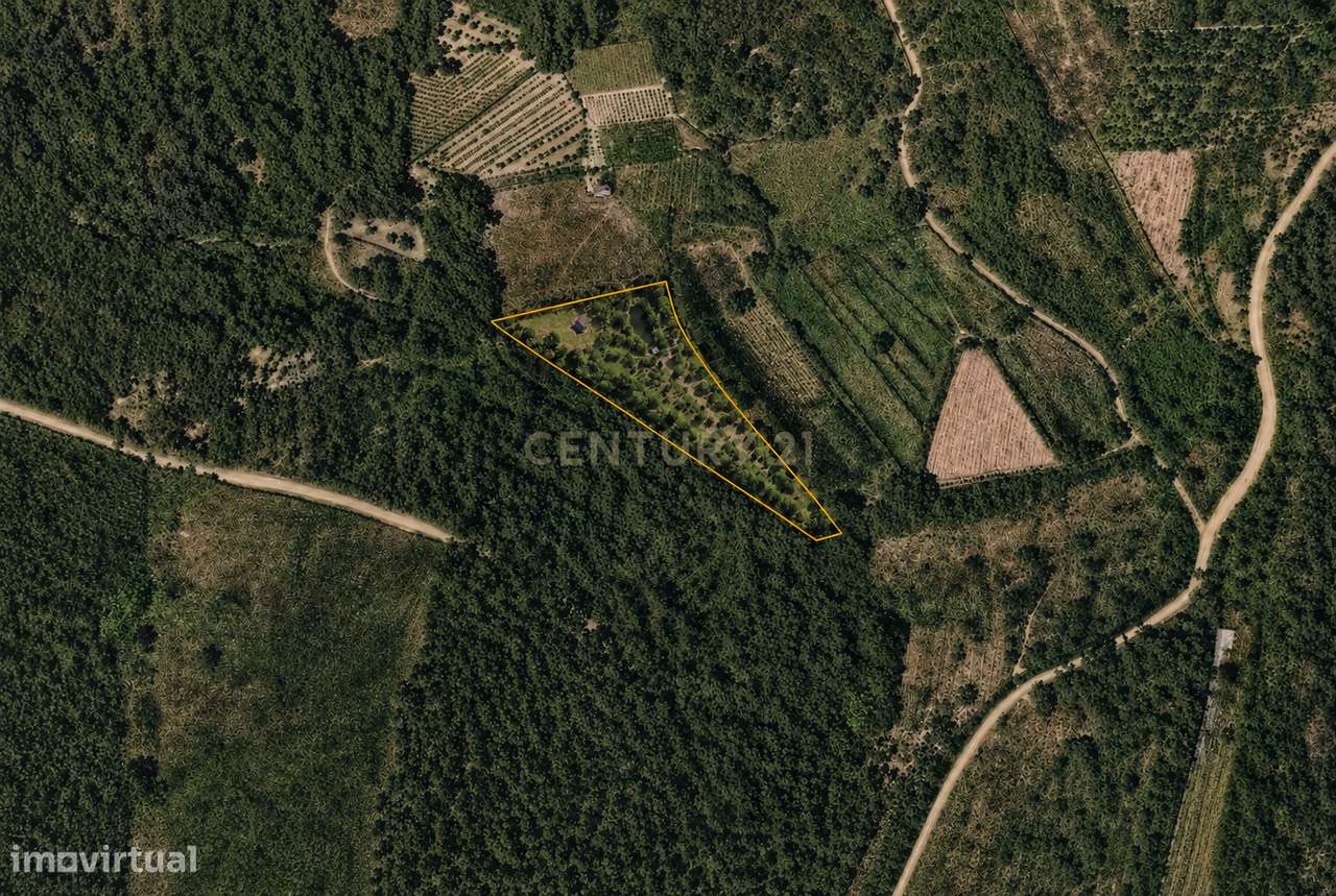 Terreno com lago na Serra da Lousã-5