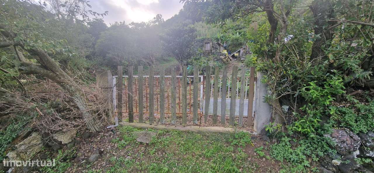 Terreno Rústico - Caloura - Grande imagem: 3/4