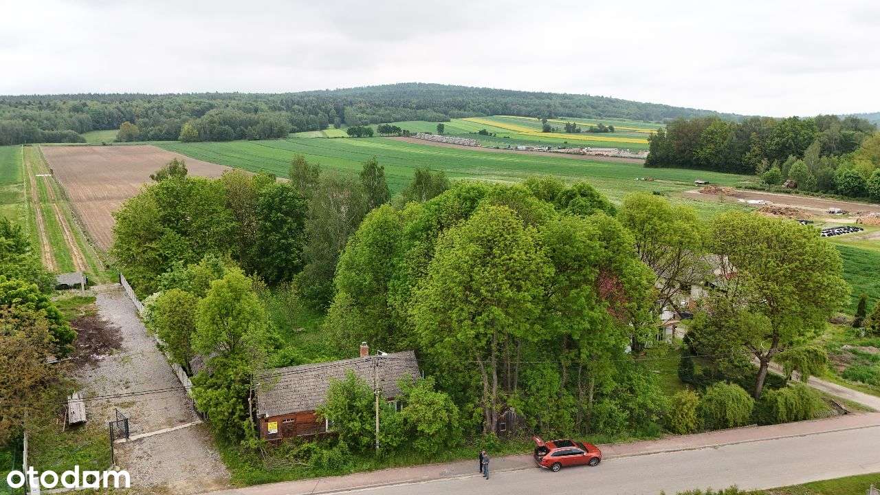 Góry Świętokrzyskie , Piotrów , działka 3000 m2 szeroka 30 m
