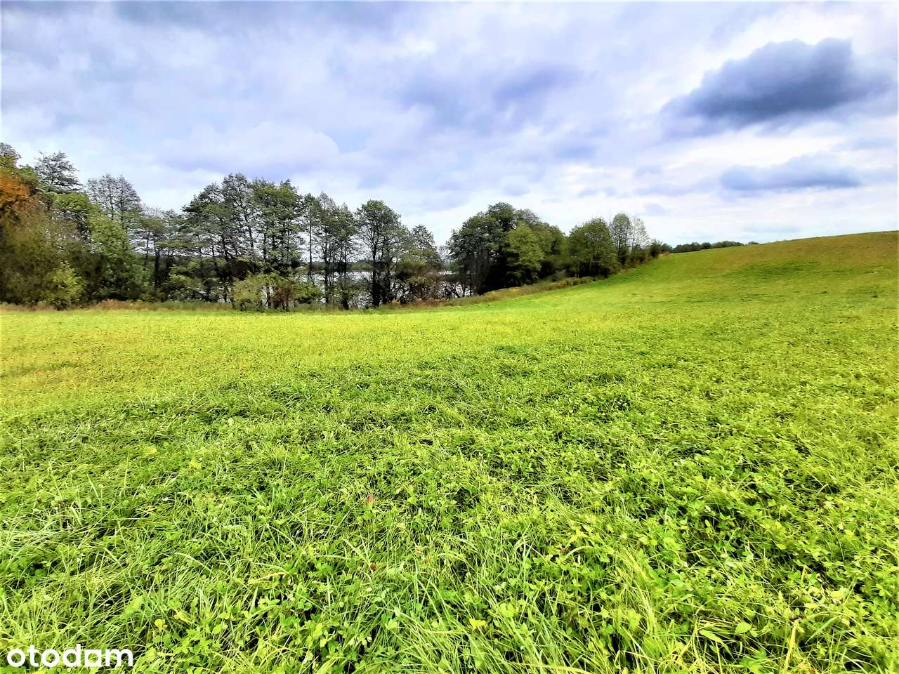 Stręgiel. Wyjątkowa działka do sprzednia - Pełny obrazek: 5/19