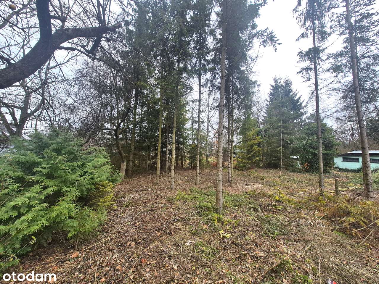 Atrakcyjna działka blisko Łodzi.-2