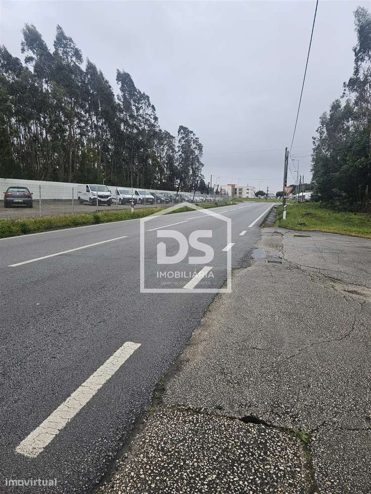 Terreno Rústico T0 Venda em Carriço,Pombal - Grande imagem: 5/12