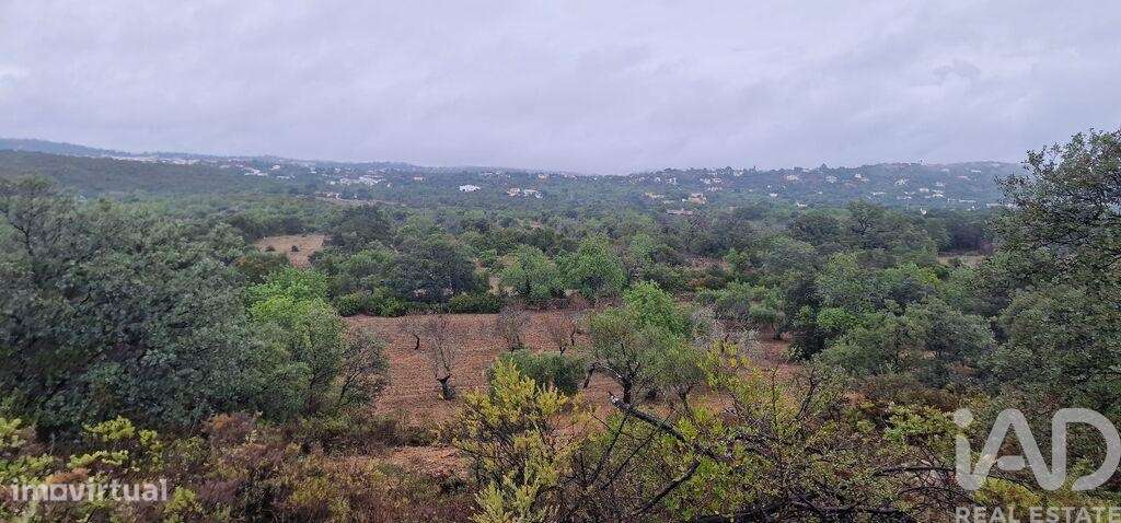 Terreno Agrícola em São Brás de Alportel de 3400,00 m2 - Grande imagem: 4/7