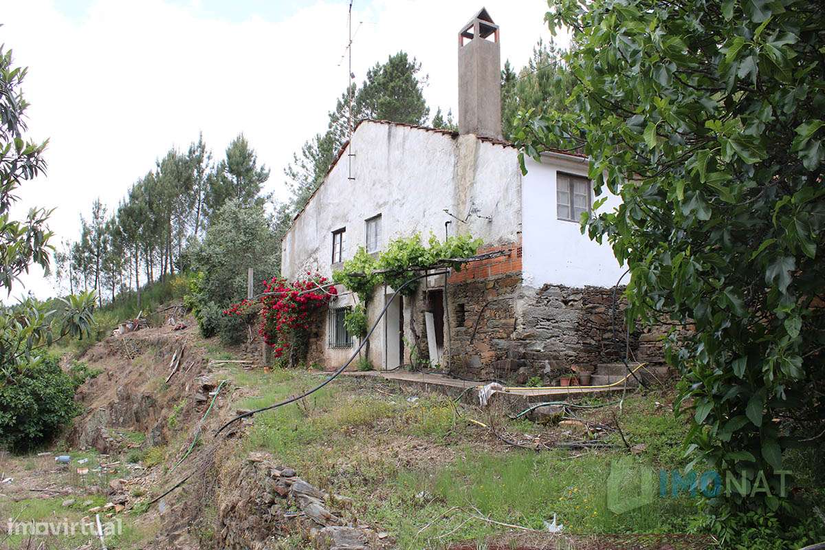 Imóvel Rural-28