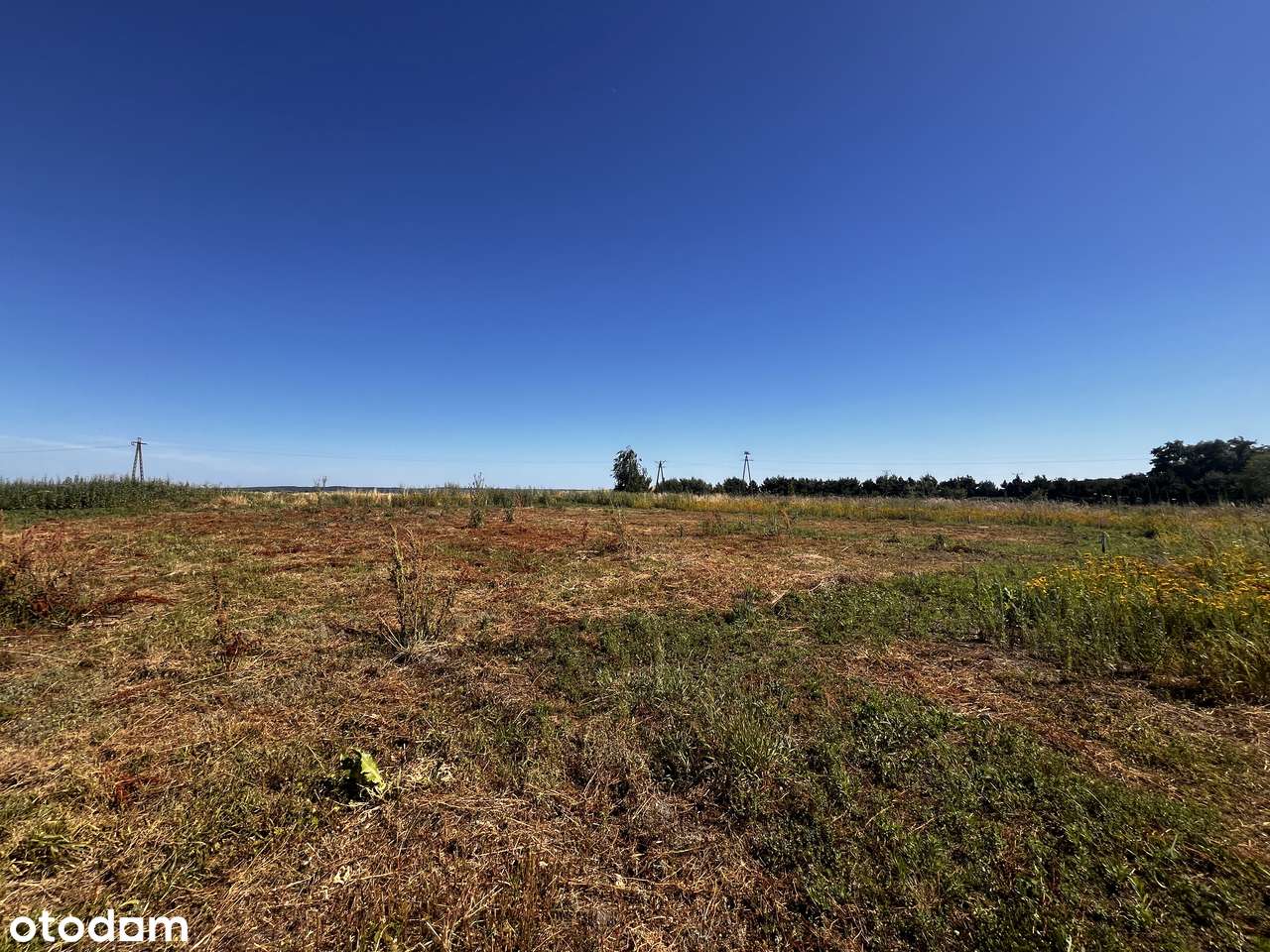 Działki budowlane Wińsko – od 1000 m² | 75 000 zł - Pełny obrazek: 5/8