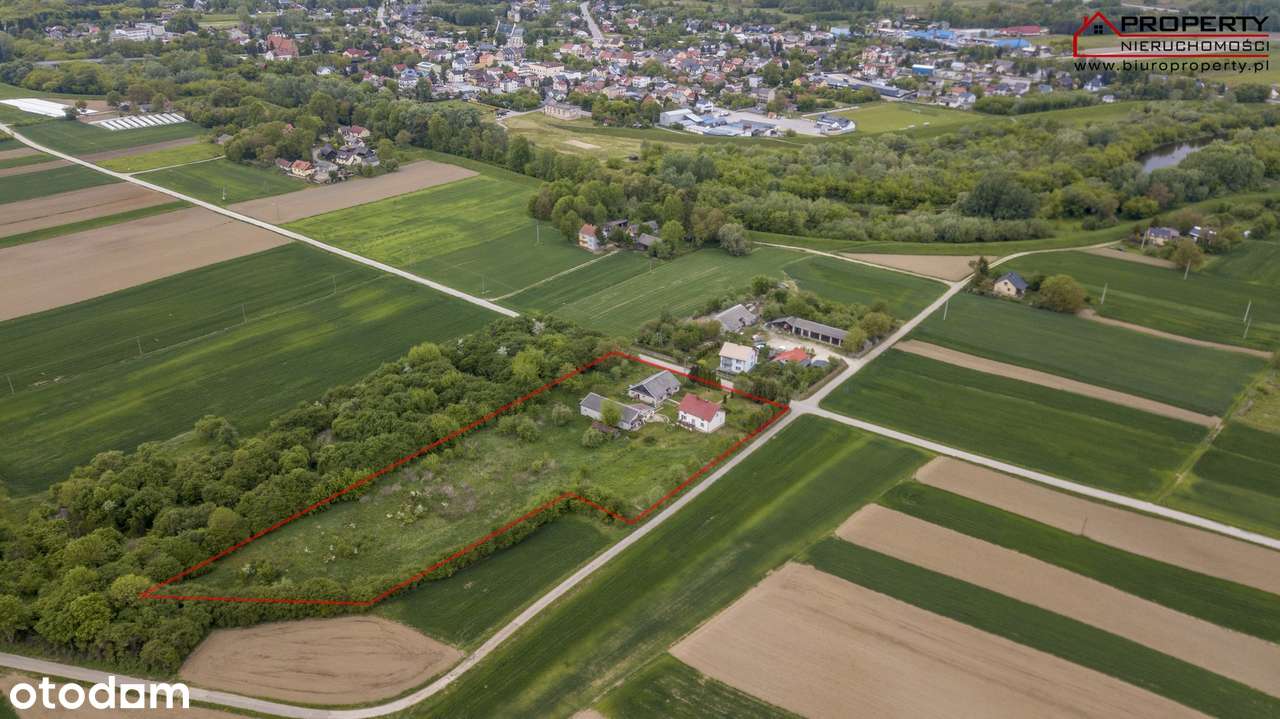 Gospodarstwo Dom 120m2 na działce 1,06ha, Podzamcze gmina Nowy Korczyn - Pełny obrazek: 5/17