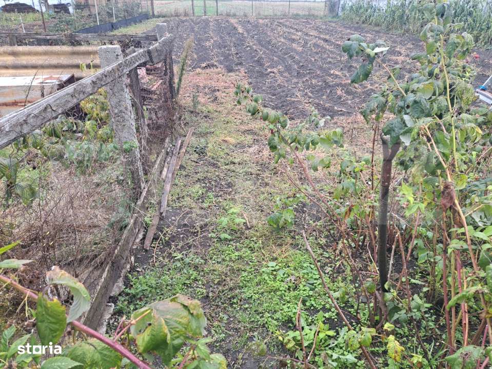 Vand casa cu teren generos – Halchiu, aproape de Brasov - Imagine principală: 5/12