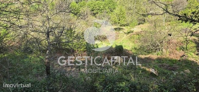 Oportunidade Única: Quinta para Habitação, Turismo ou Agricultura em M-47