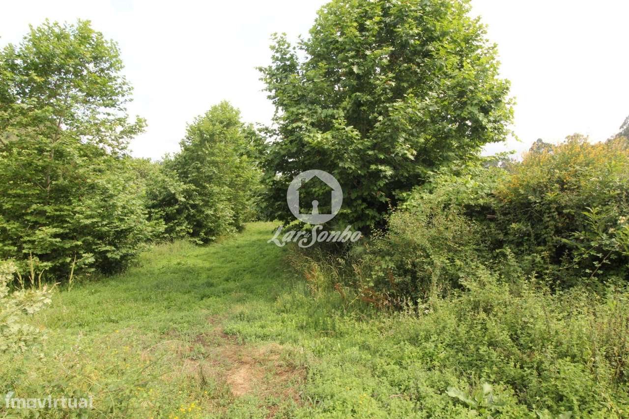 Terreno Agrícola em Borba da Montanha -Celorico de Basto - Grande imagem: 5/7