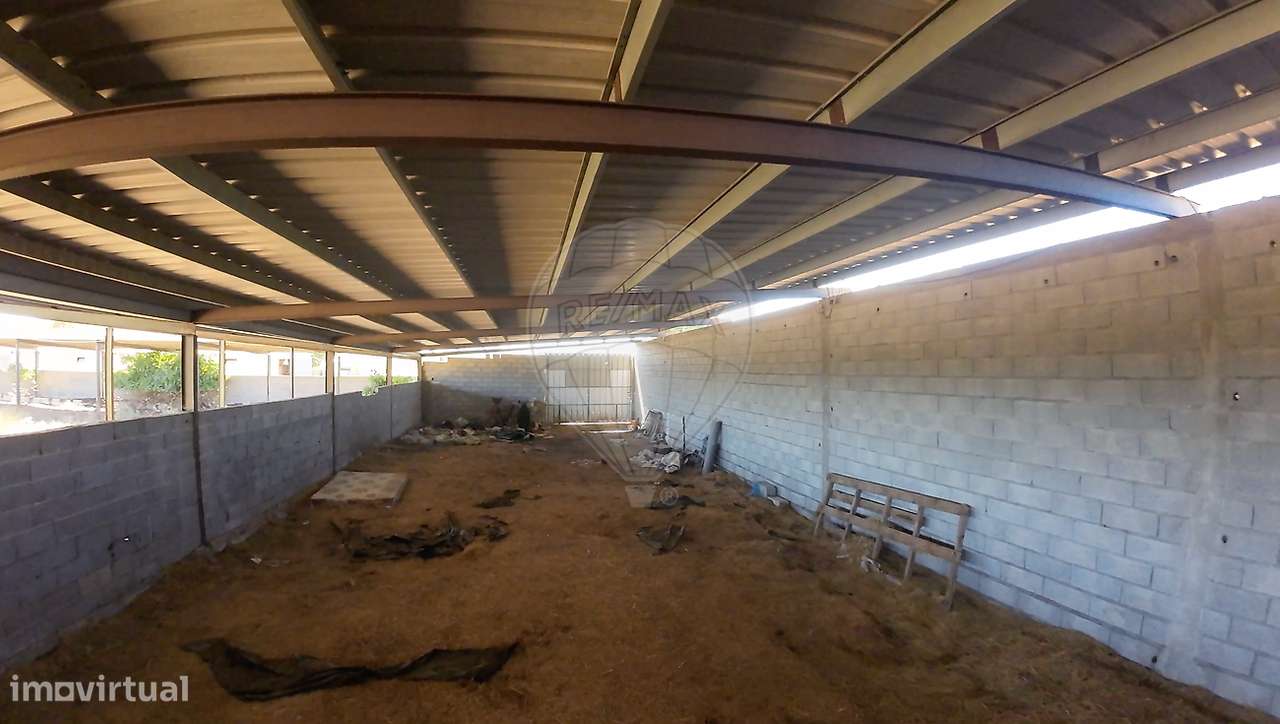 Armazém  para venda-5