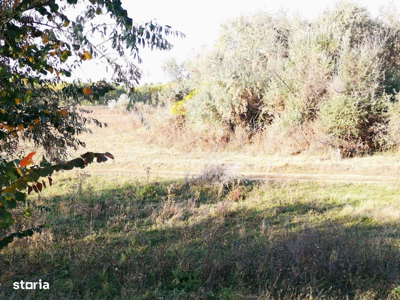 Vand 20.000 mp Delta-Tudor Vladimirescu-6