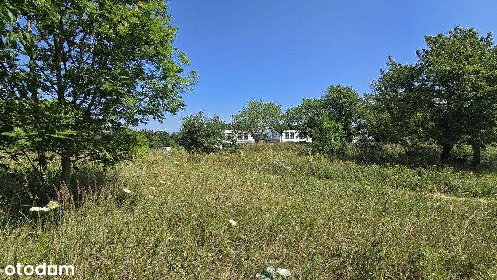 Działka dla dewelopera z pięknym widokiem na Odrę - Pełny obrazek: 4/13