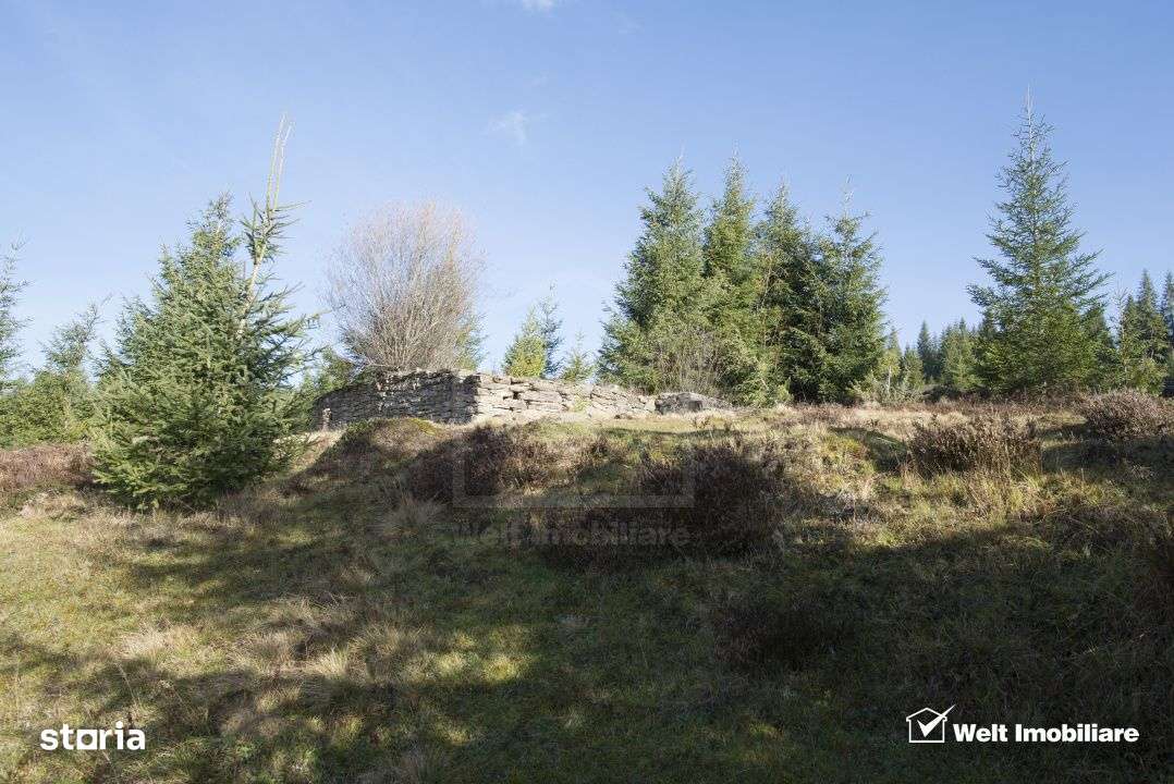 Se vinde teren cat un munte in Apuseni - Poiana Horea-5