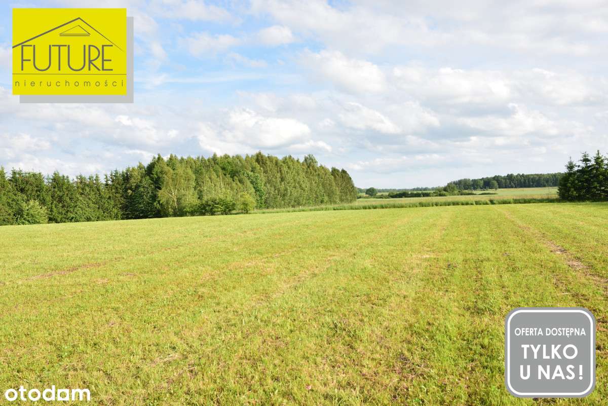 Pięknie położona działka 7483 m2 w Księżnie-4