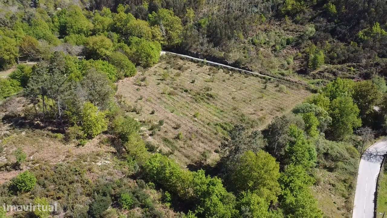 Terreno – Vouzela-9