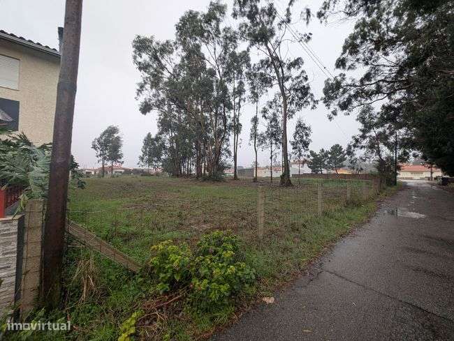 Terreno, 1 800 m², Monte-11