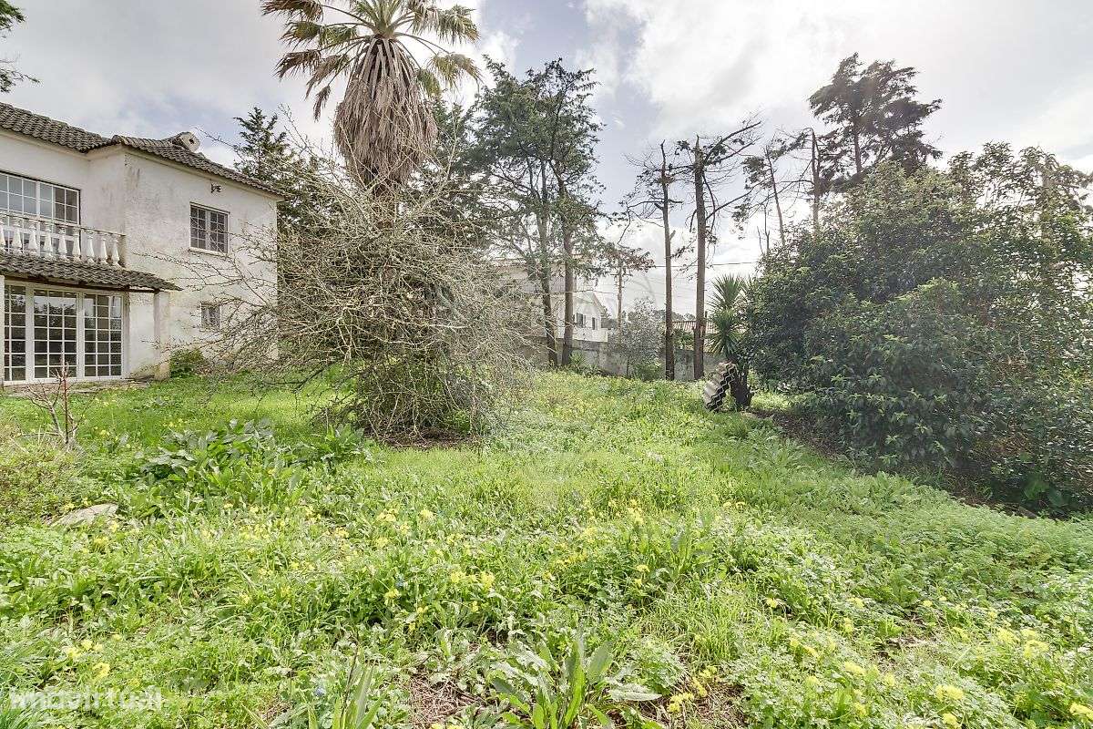 Moradia T3 para venda-30