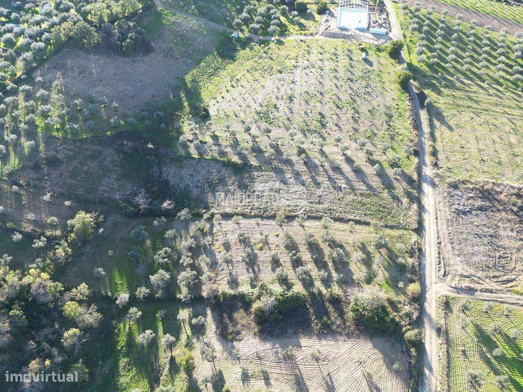 Terreno Grijó de Parada - Grande imagem: 3/6