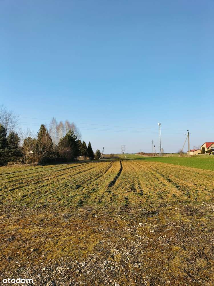 Działka Budowlana  1470m2 - Pełny obrazek: 4/4