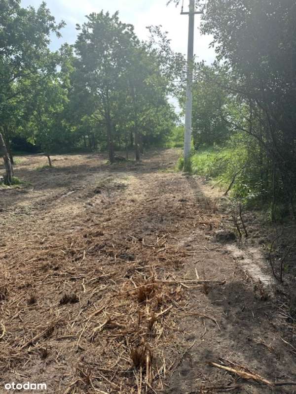 Tenczynek- działka budwolana 20 ar, media miejskie ! - Pełny obrazek: 5/6