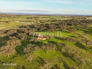 Herdade com 147 hectares - Grande imagem: 4/21