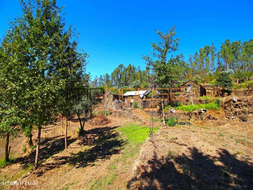 Quinta Isolada com Margem de Rio e Potencial de Eco-Retiro - Arouca-28