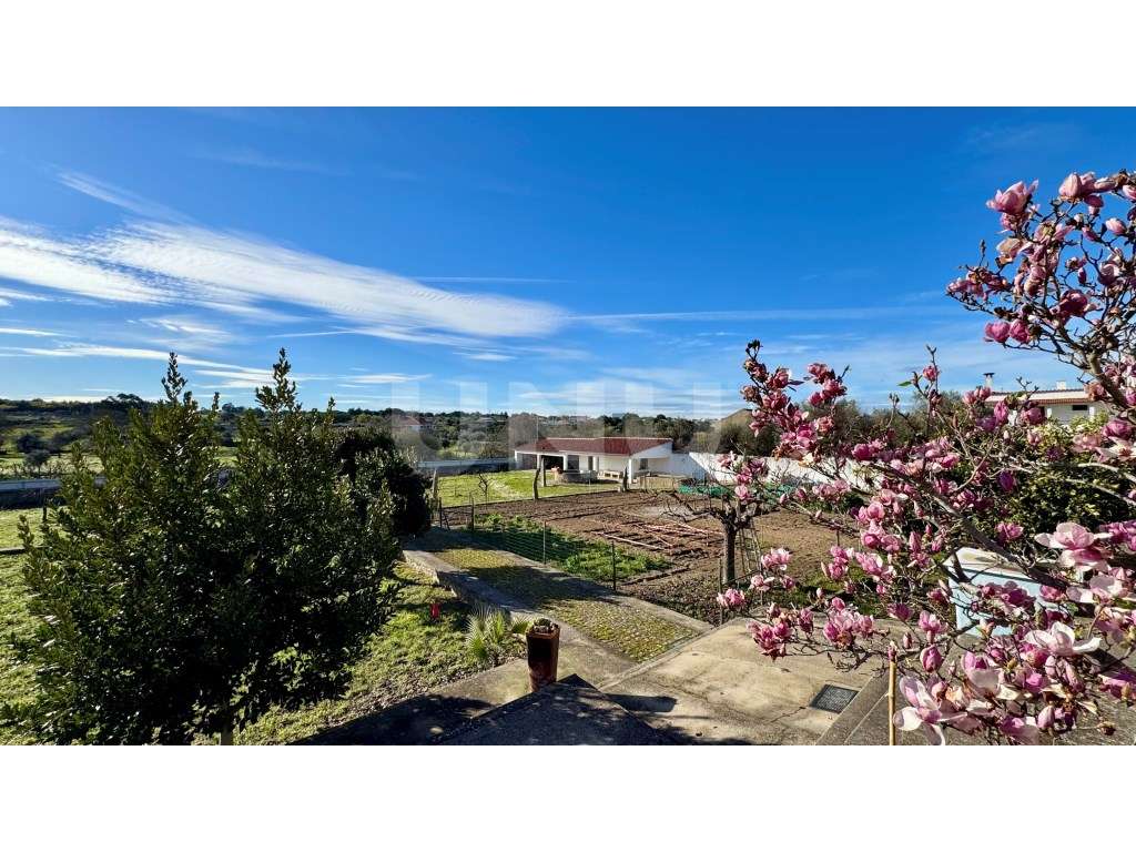 Moradia T5 e Terreno com 5000m2 - Grande imagem: 3/45