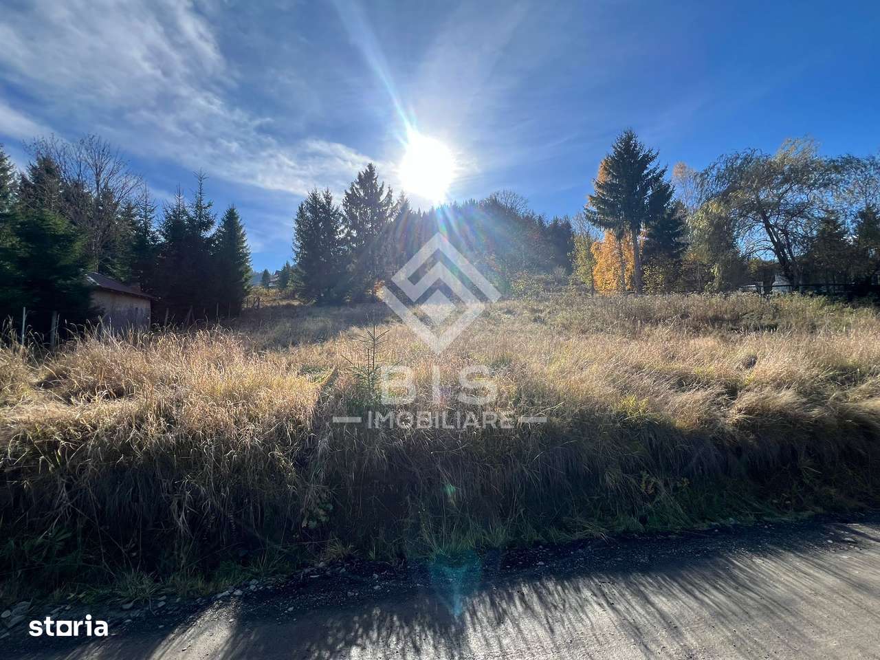 Teren de vanzare 12 ari - COLIBITA - Imagine principală: 4/8