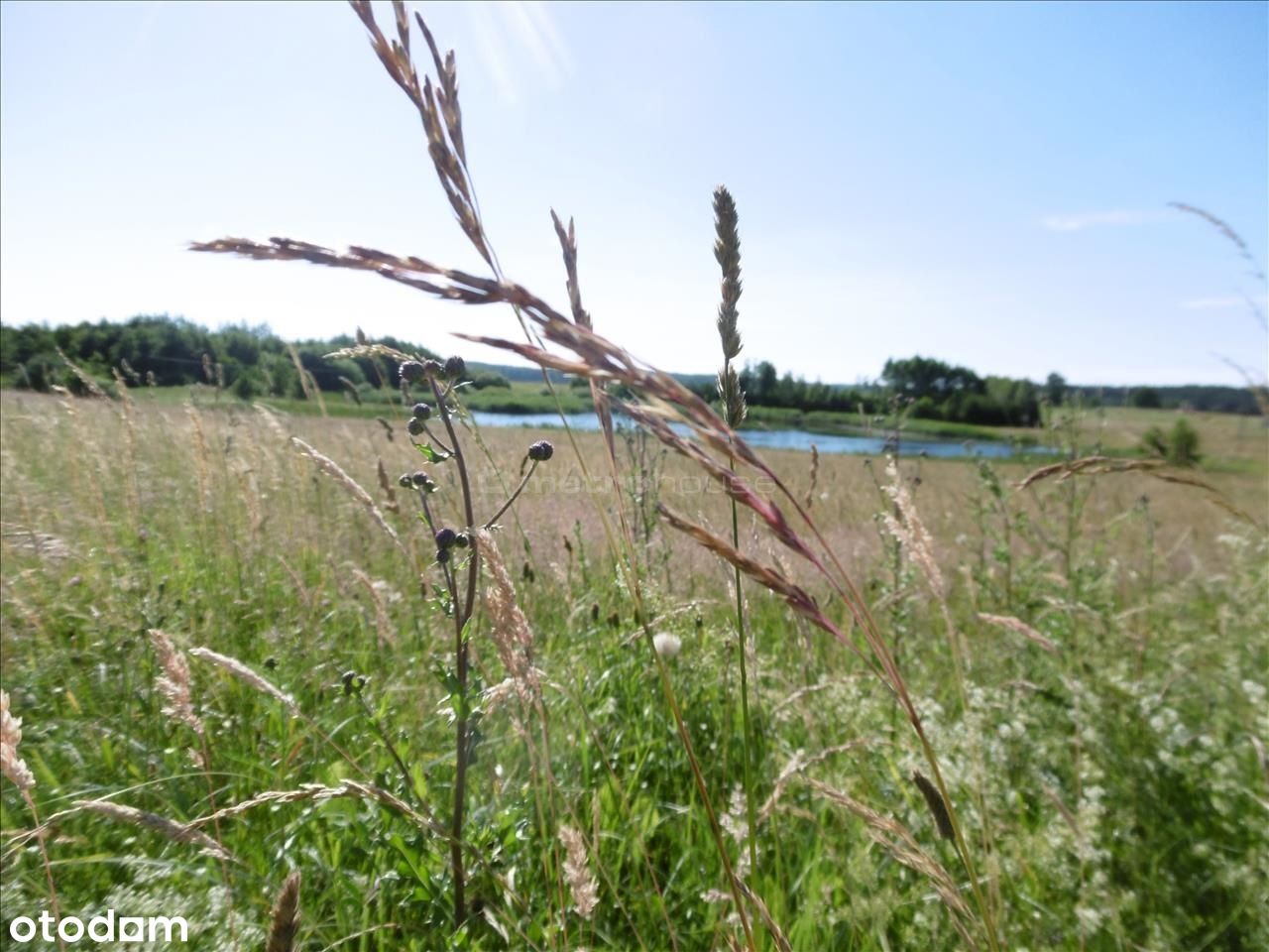 Działka ok. 2 ha, w odległości 25 km. od Olsztyna.