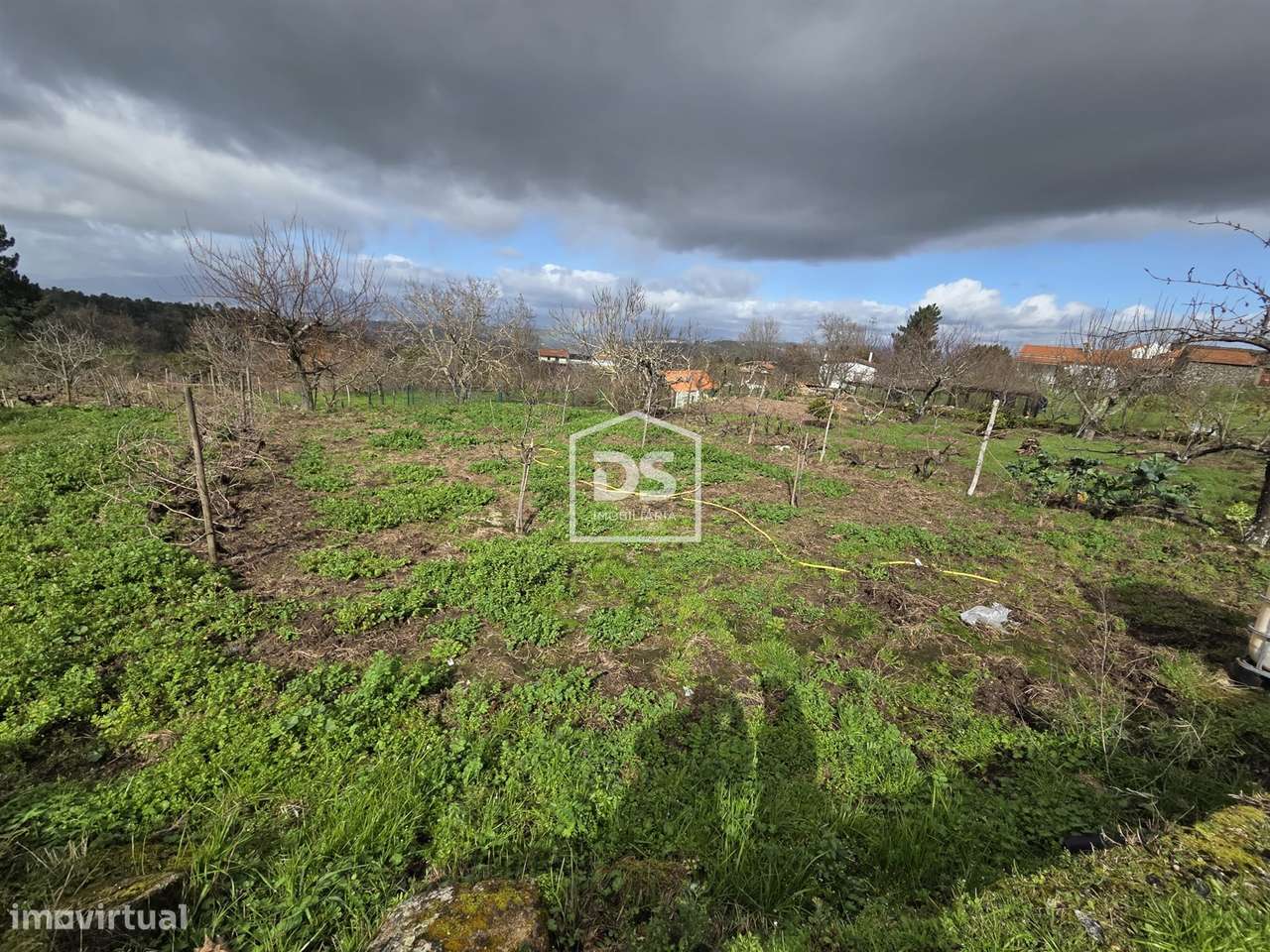 Terreno  Venda em Armamar,Armamar - Grande imagem: 5/7