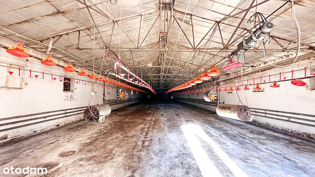 Częściowo zabudowana rolno-produkcyjna-11