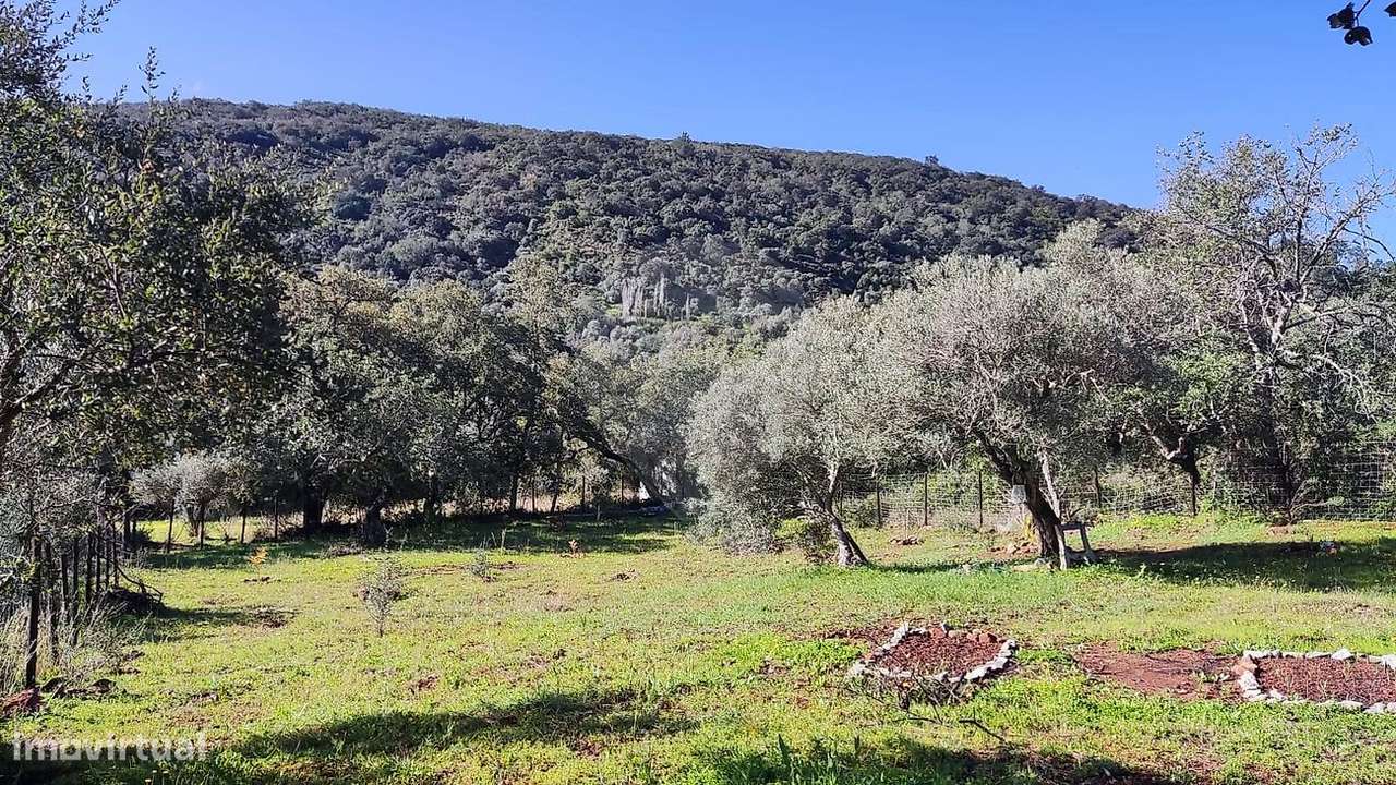 Terreno  para venda - Grande imagem: 5/7