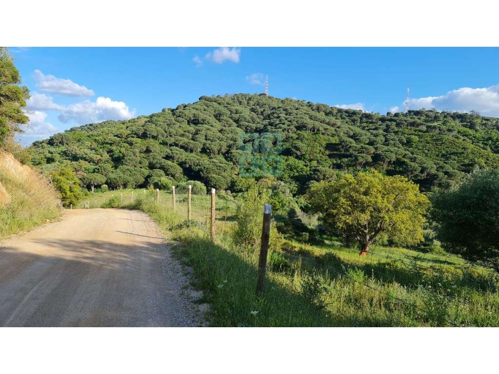 Quinta com 435.487 m2 na Serra da Arrábida, em Palmela, Setúbal-33