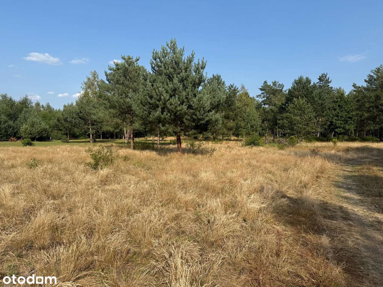 Działka z prywatnym dostępem do jeziora Sumino-11