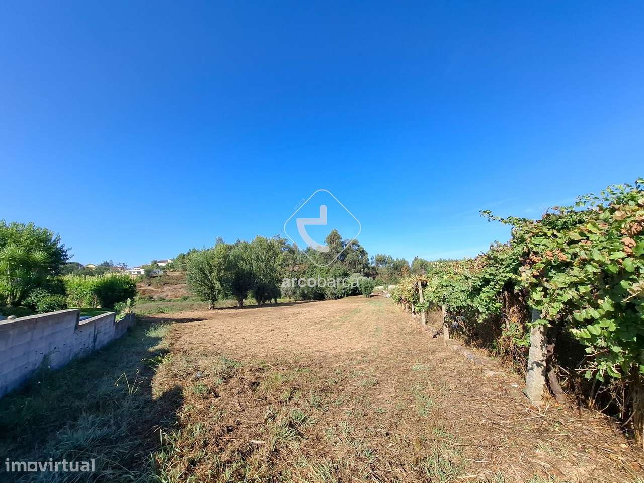 Quinta p/ restaurar com 6.200m2 - Ribeira/Ponte de Lima-27