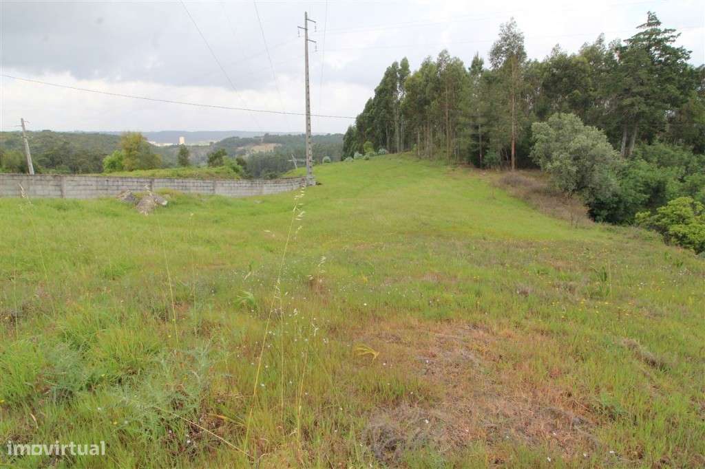 Terreno plano para construção de moradia isolada em Brasfemes, Coimbra - Grande imagem: 3/10