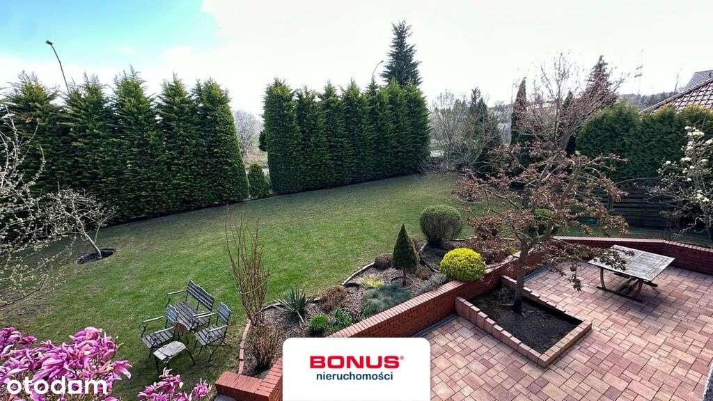 BON48964 - Pełny obrazek: 5/8