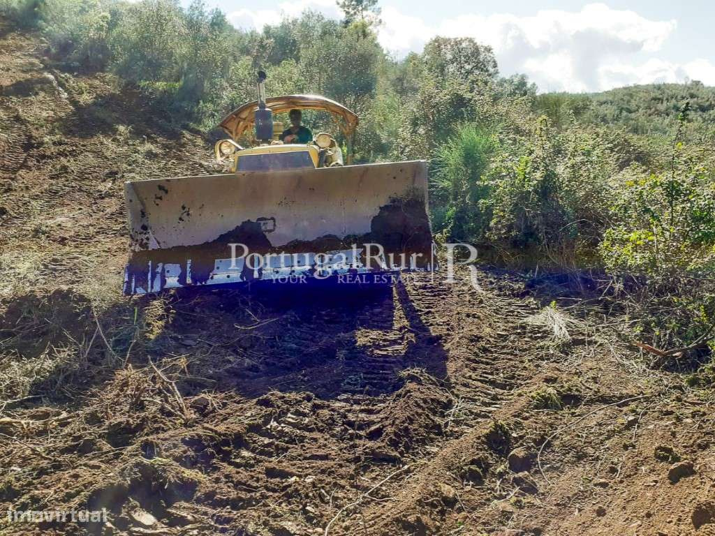 Propriedade Única com 3,5 ha Natureza Intocada, Água Abundante e Co... - Grande imagem: 5/16