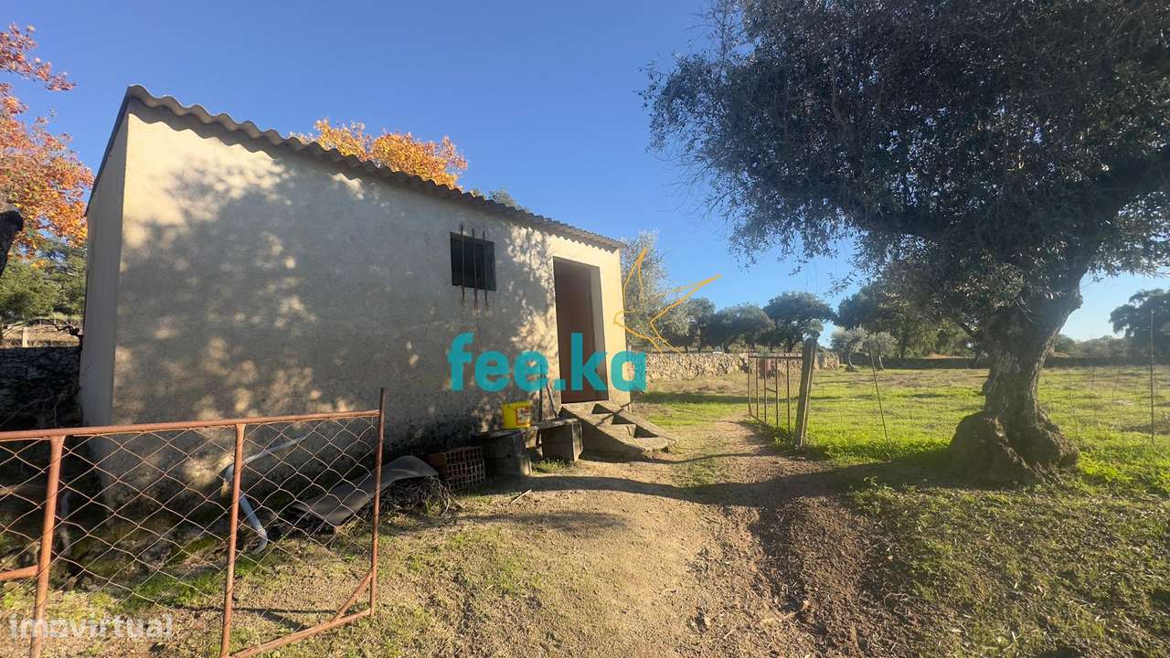 Quinta em Escalos de Baixo-2