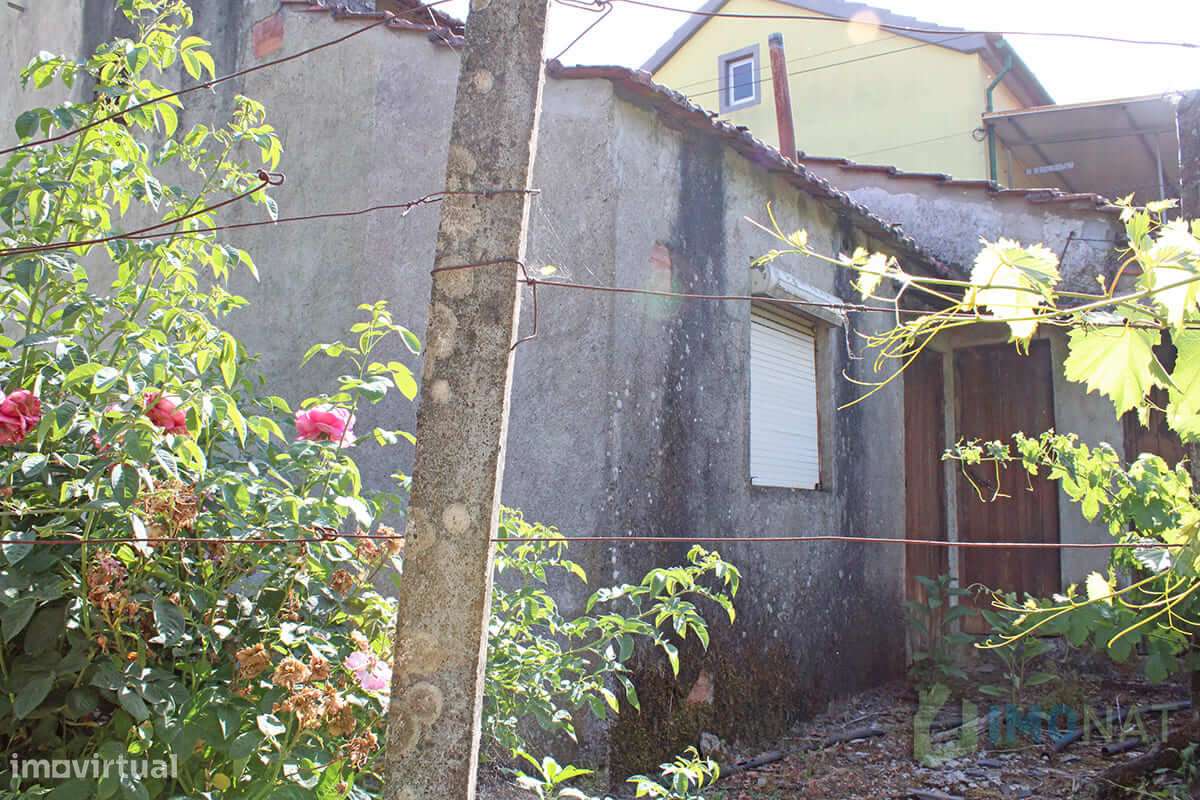 Moradia - Grande imagem: 4/9