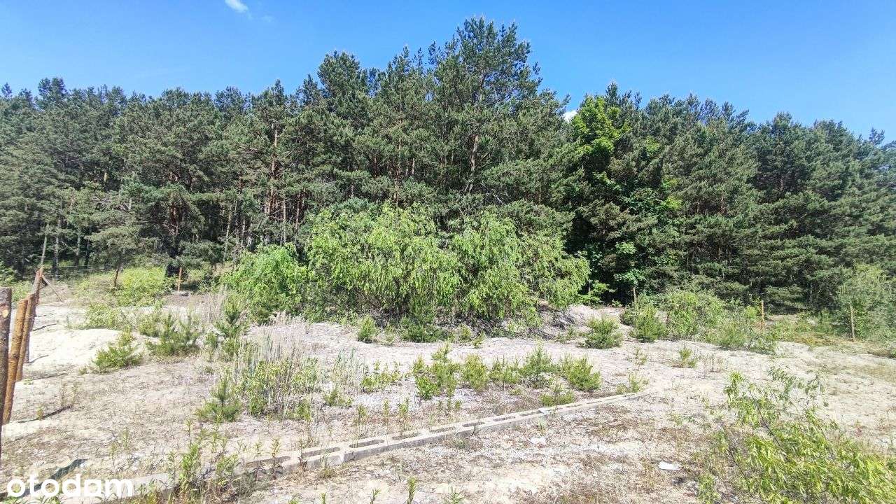 Działka Budowlana Brzóze Małe 1100 m/kw-12