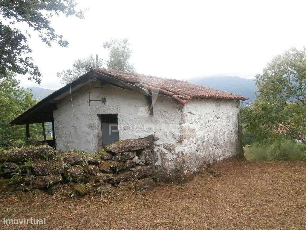 Quintinha com 2 moradias para reconstruir - Grande imagem: 2/14