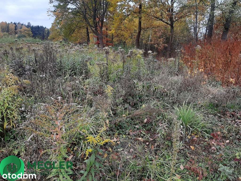 Działka w otulinie lasu-3