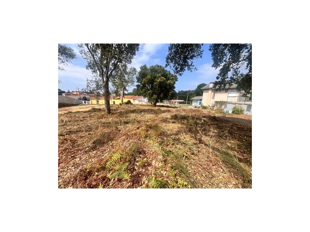 Oportunidade única para construir a Casa Térrea dos seus sonhos-5