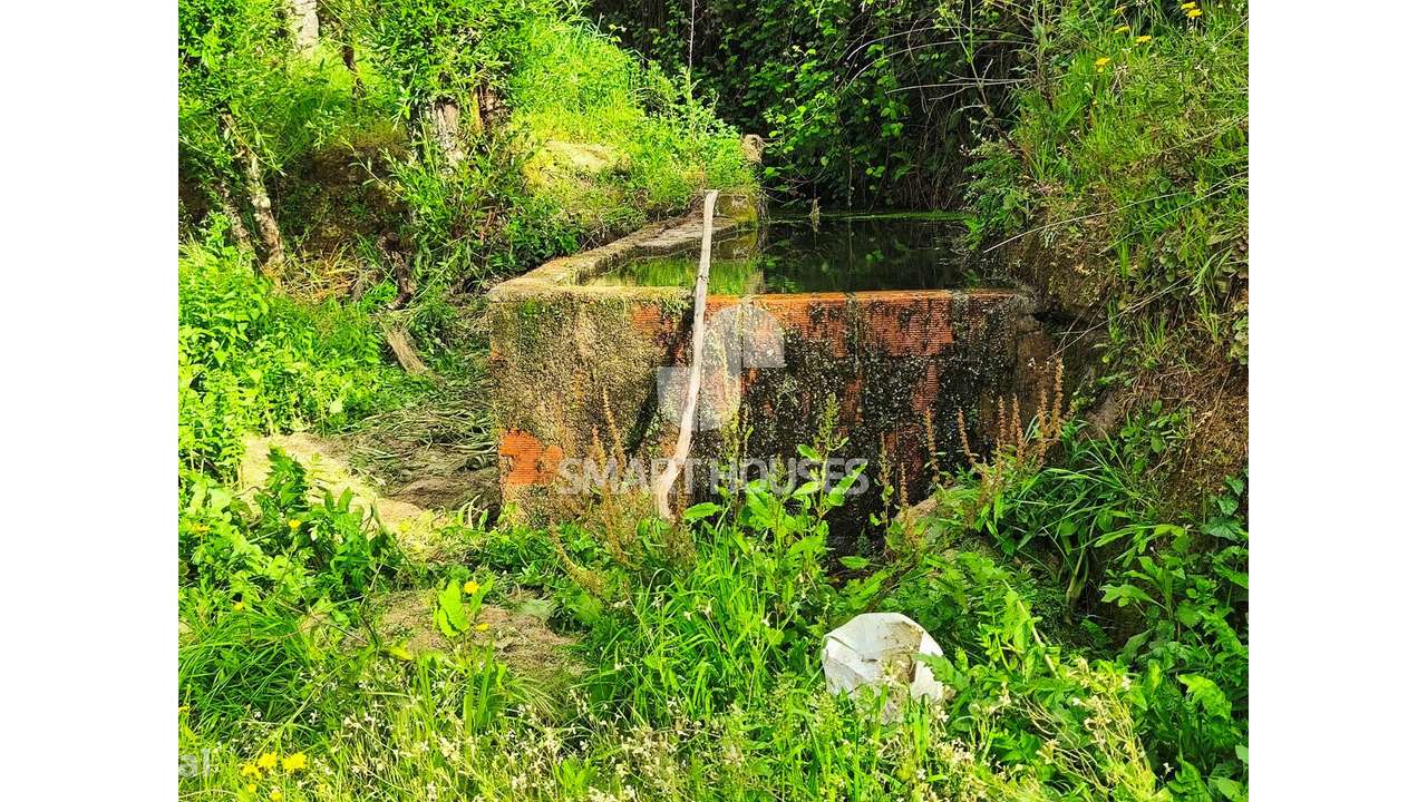 Quintinha em Vila do Mato-9