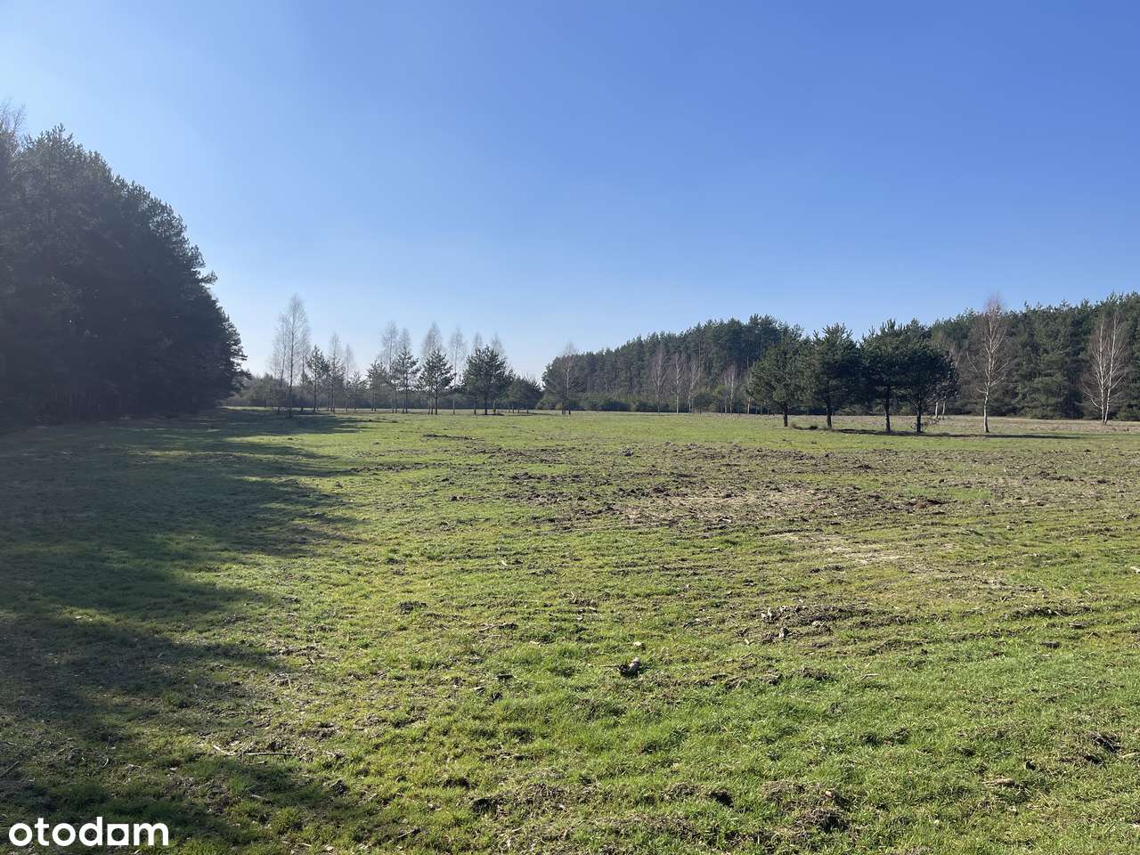 Na sprzedaż działki o powierzchni 3000 m² - Pełny obrazek: 4/4