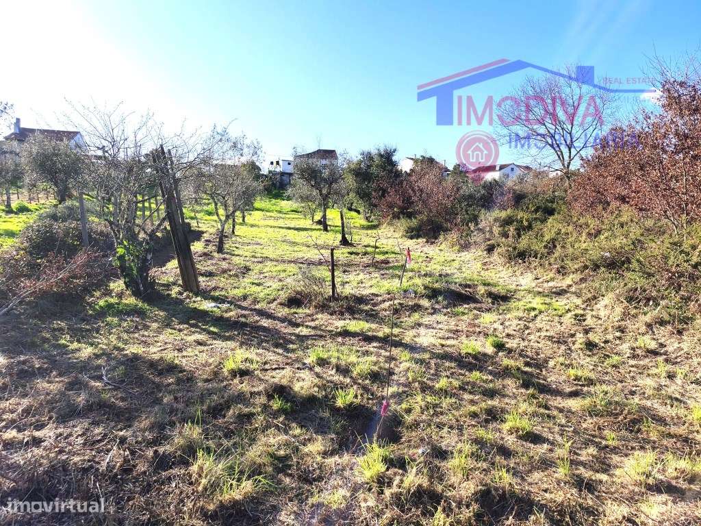 Casa de campo com terreno em Bairradas-24