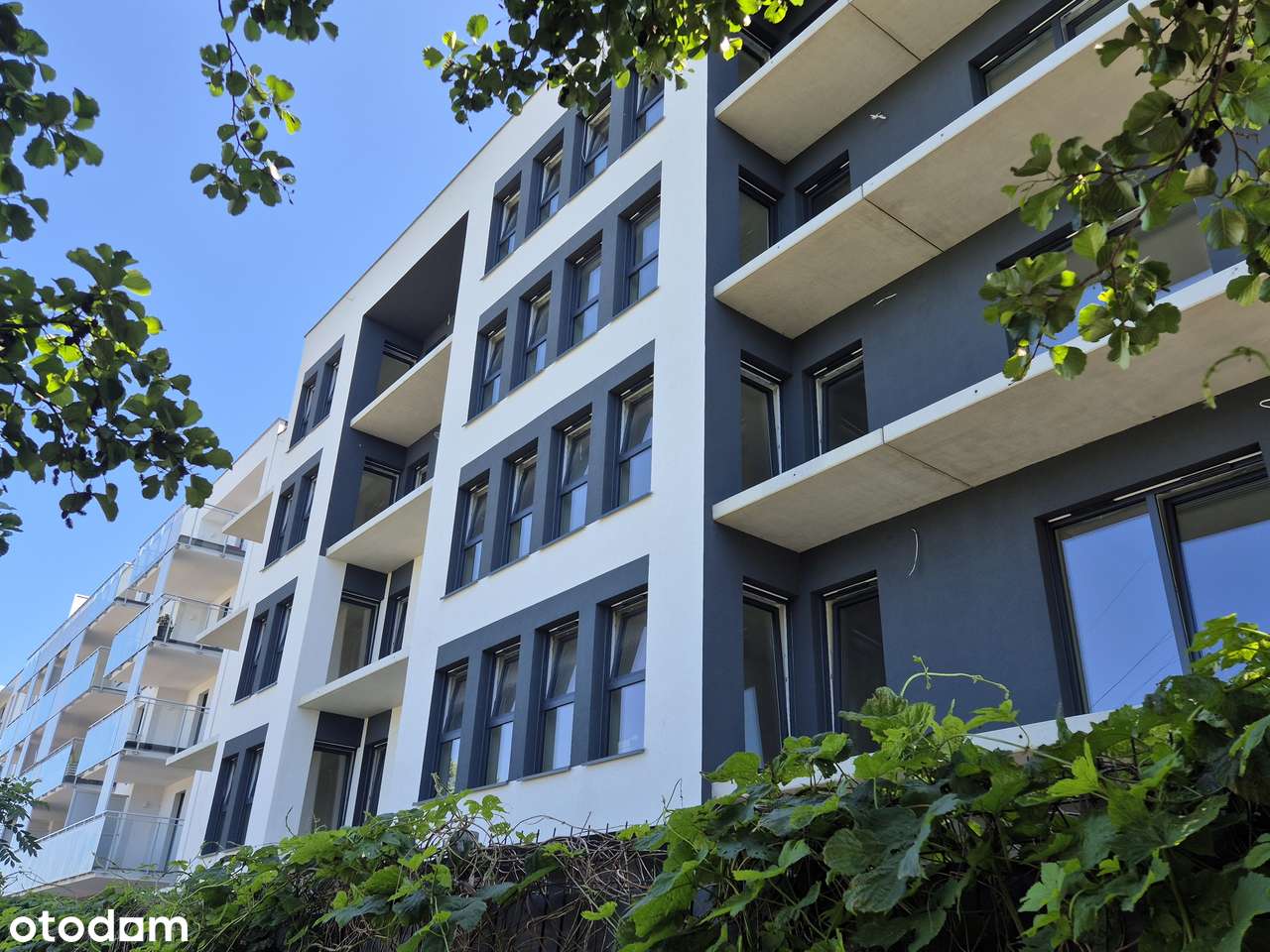 Jasne 2 Pokoje z widokiem na Piątkowo - Odbiór w tym roku - Blisko UAM-7