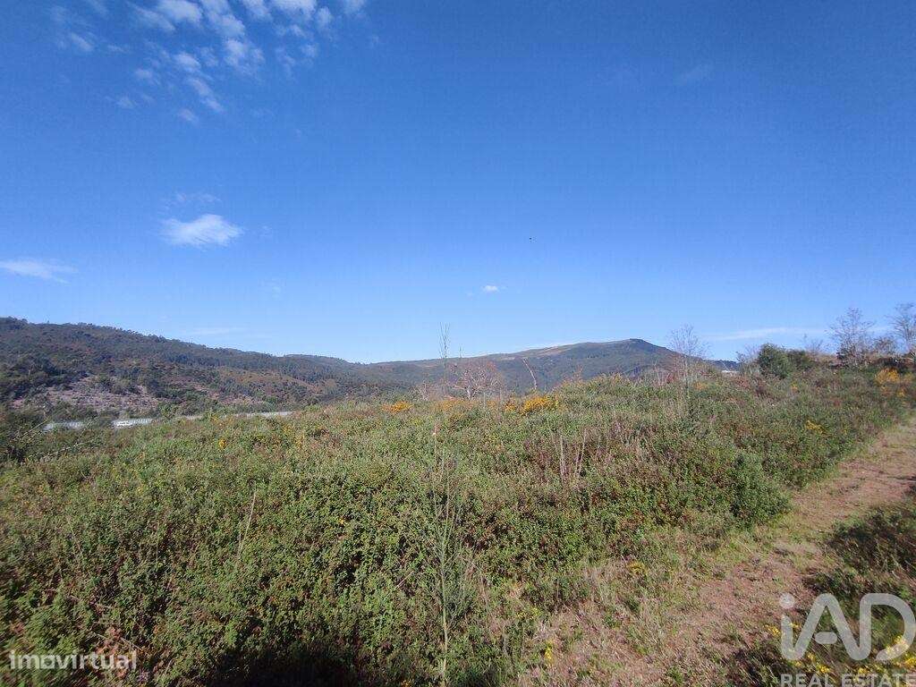 Terreno em Bárrio e Cepões de 66425,00 m2 - Grande imagem: 5/30