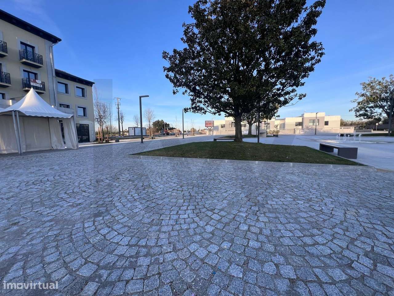 Oportunidade Única de Investimento em Carregal do Sal-28